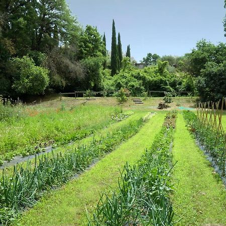 Madonnella Agricola Villa Cesano Bagian luar foto