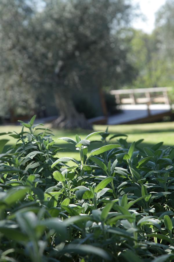 Madonnella Agricola Villa Cesano Bagian luar foto