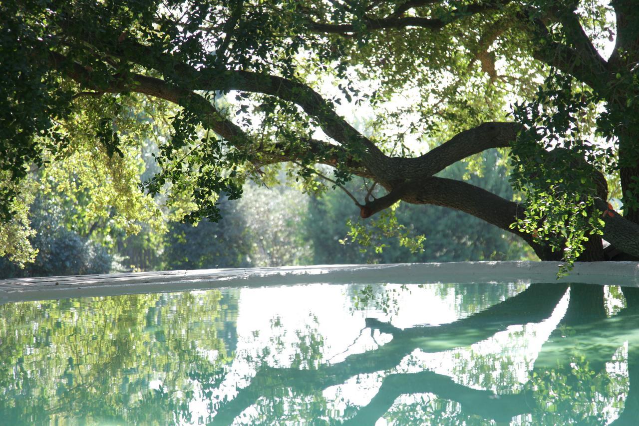 Madonnella Agricola Villa Cesano Bagian luar foto