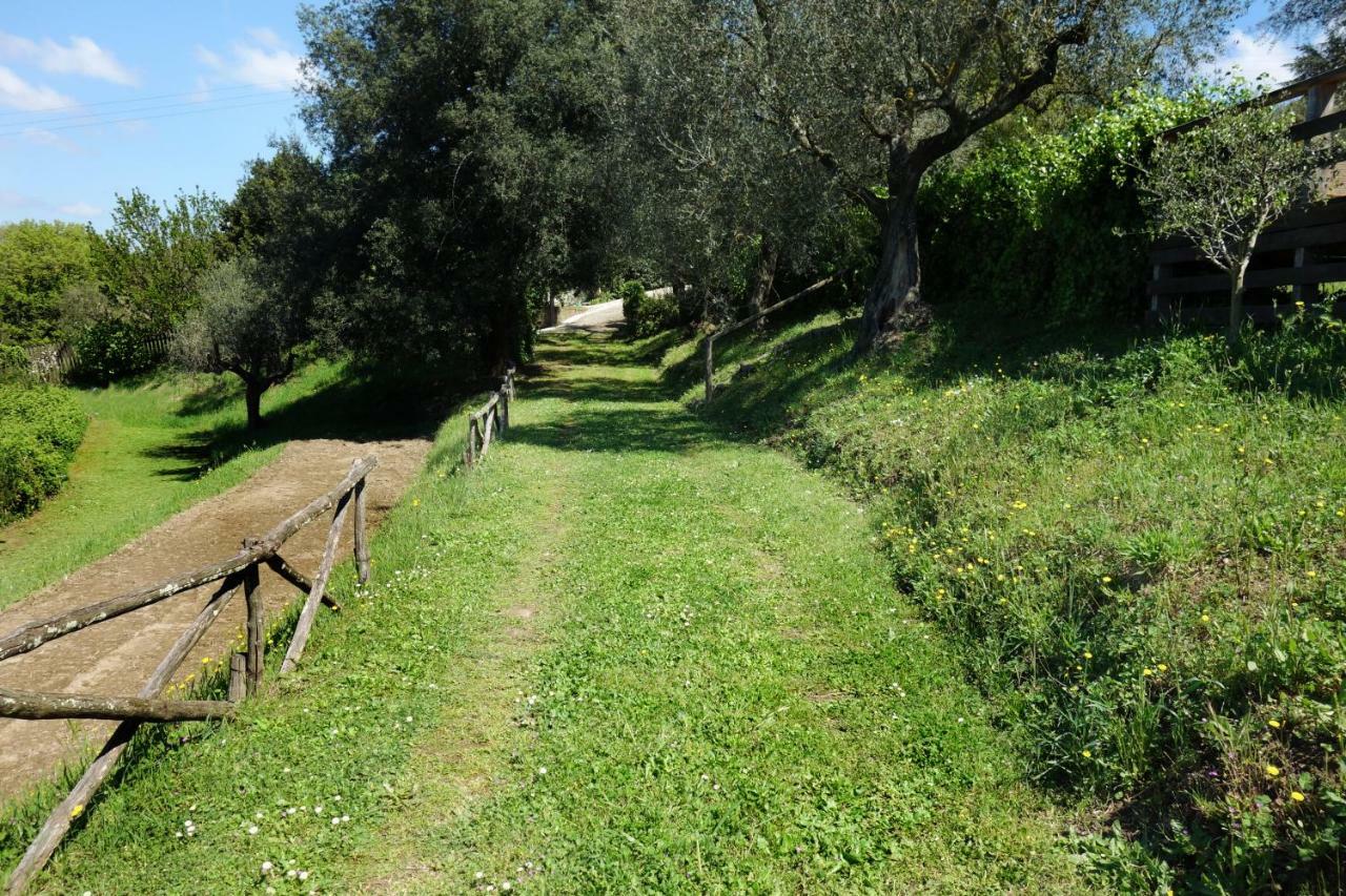 Madonnella Agricola Villa Cesano Bagian luar foto