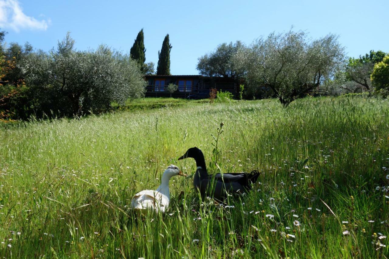 Madonnella Agricola Villa Cesano Bagian luar foto