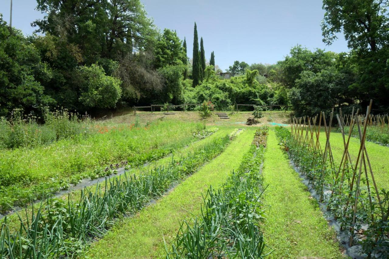 Madonnella Agricola Villa Cesano Bagian luar foto